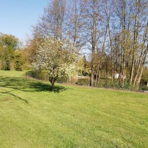 Maisons de vacances Au fil de l'eau a la campagne : photos des chambres