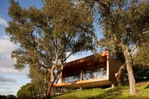 Herdade do Moinho Novo - Figueira