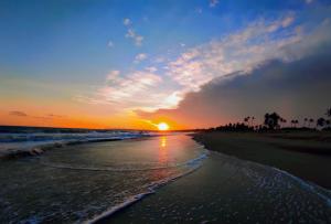 Sleeping Elephant Beach Resort