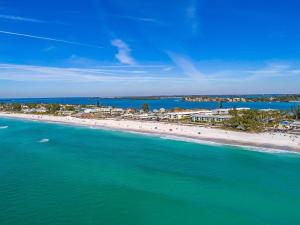 Anna Maria Island Beach Palms 8B