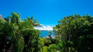 Anna Maria Island Beach Palms 8B