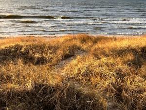 obrázek - Ragares - the greatest beach house near the Baltic sea