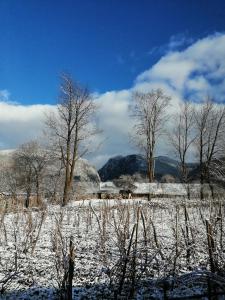 Casa Stefi si Alexia