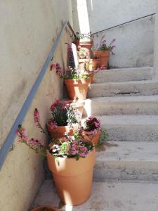 Maisons de vacances La Terrasse : photos des chambres