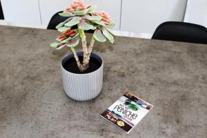 SwordFish Sea View Apartment