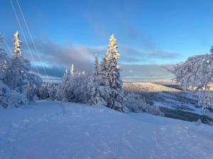 Åreskutans Mountain Lodge i Huså Lägenhet 03