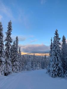 Åreskutans Mountain Lodge i Huså Lägenhet 03