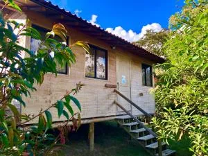 Crisantema 2 - 圣埃伦娜