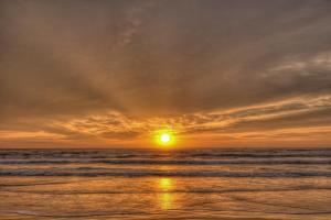 Marlin Street Tomehome A