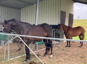 Kia Ora Lookout Retreat