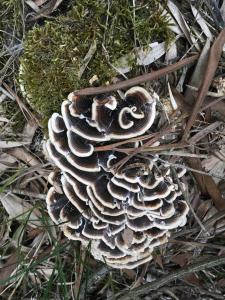 Moradia próxima da praia do Areinho, na Ria, e praia dos Marretas