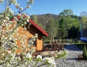 Księżycowe Domki w Bieszczadach - Bystre