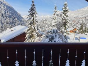 Chalets Chalet le Petit Ramoneur : photos des chambres