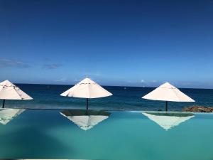 Vacations in the Caribbean Paradise