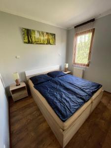 Levis wellness apartman