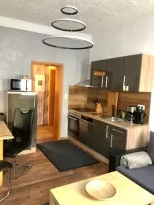 Delux Ferienwohnung Kunstgalerie und Ilmradweg - Riechheim