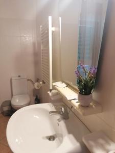 Le Palme Holidays img63