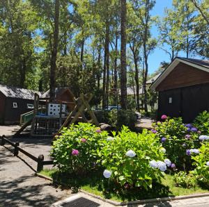 Departamento en la naturaleza de Pucón