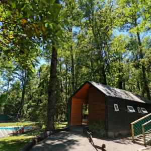 Departamento en la naturaleza de Pucón