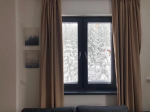 Vila Montana Kopaonik Apartman 6