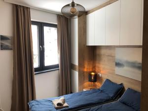 Vila Montana Kopaonik Apartman 6