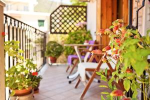 Baywatch LUXURY BOUTIQUE