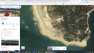 T1bis dans les dunes du Cap Ferret