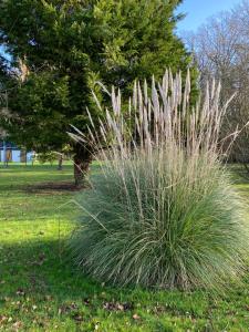 Maisons de vacances Les gites de La Pellerie - 2 piscines & spa Jacuzzi - Touraine - 3 gites - familial, calme, campagne : photos des chambres