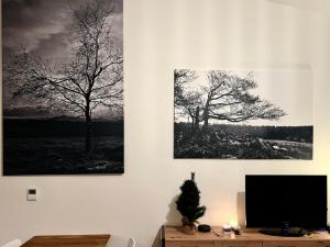 Ubytování Zadov - Apartmán Prenet