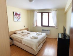 Ski Area 202 apt, The Castle 1, Pamporovo