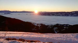 Korlape Apartman 4.2