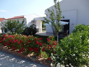 Ktima Amitsa Studios & Apartments Halkidiki Greece