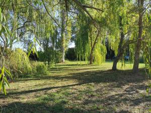 Chalets PRATICCIONI : photos des chambres