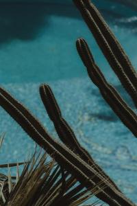 Nonnas Boutique Hotel