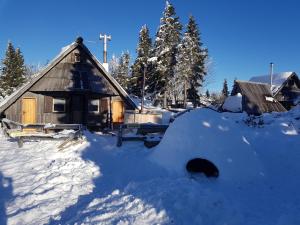 Chalet Encijan - Velika planina 