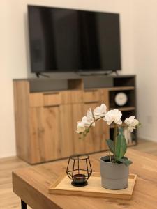 Ferienwohnungen Pletzenauer