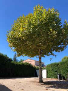 Sejours chez l'habitant Villa avec vue campagne : photos des chambres