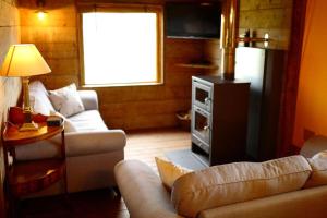 Luxury Safari Lodge surrounded by deer!! Fallow