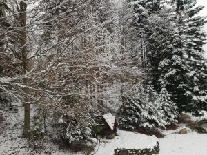 Rodzinny Dom Wypoczynkowy Grzechynia Carchla