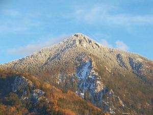 Ferienwohnung Wiadahoam