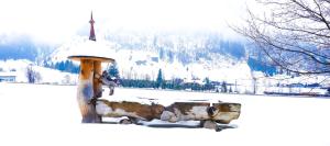 Appartement Krotmoos