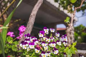 Holiday apartment in Lopar with balcony, air conditioning, WiFi, washing machine 4886-3