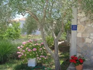 Apartments Milena - Mali Pašman