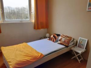Appartements Chez Lalis : Chambre Simple Standard
