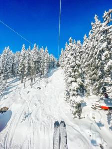 Sunshine Apartments Golte COMFORT