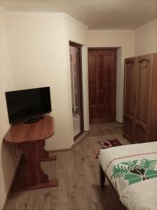 Vila Alpina Olănești