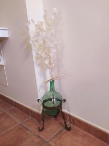 Apartament dúplex duna habitació