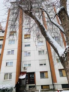 Sofi Apartment Nis