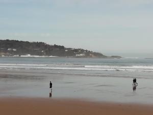 Appartements HENDAYE PLAGE Logement entier avec jardin : photos des chambres