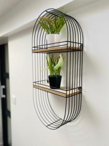 Charmant T2 atypique Industriel